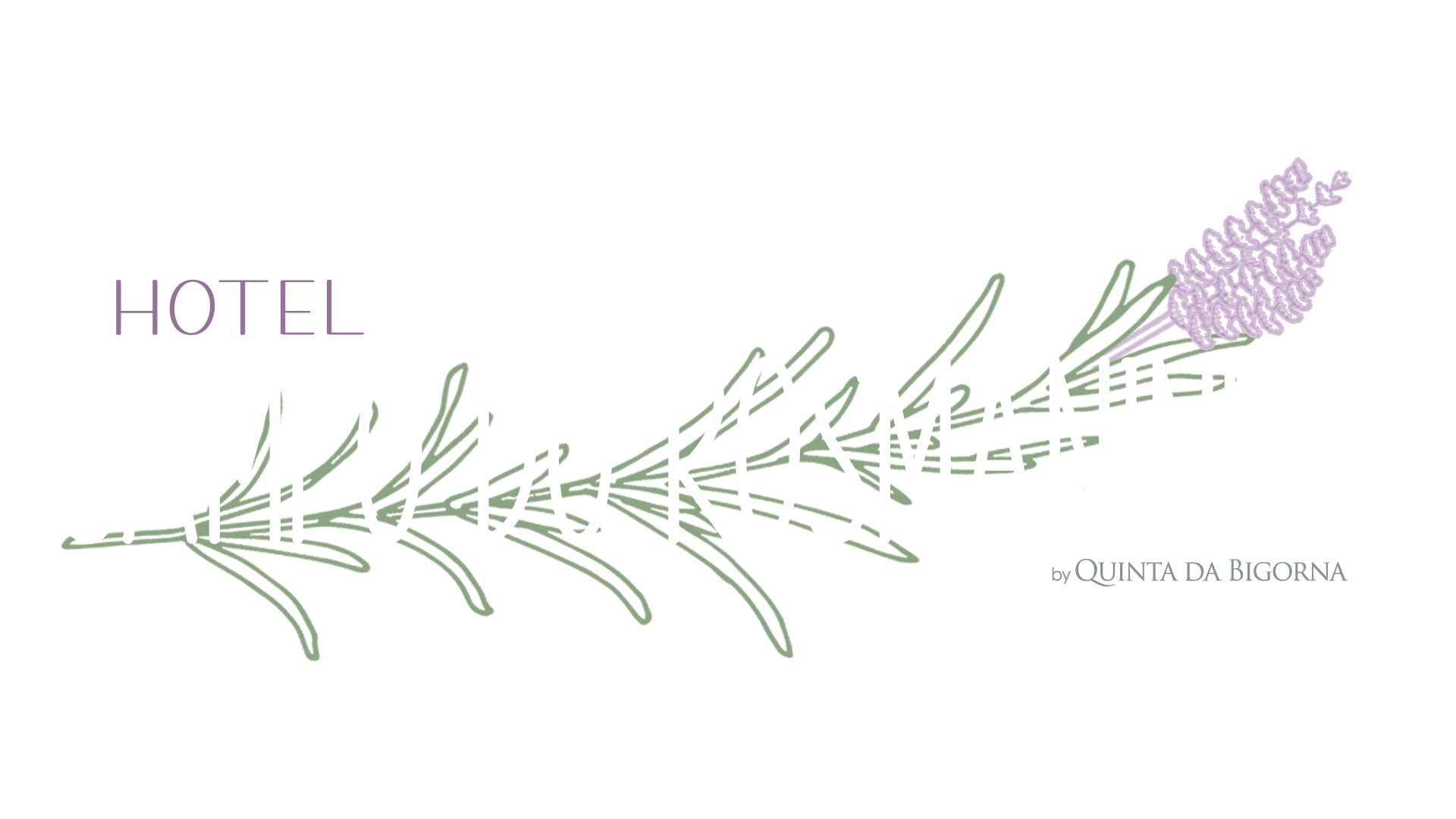 Campo do Rosmaninho