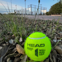 Bola perdida no Campo do Rosmaninho com o court de Padel no fundo